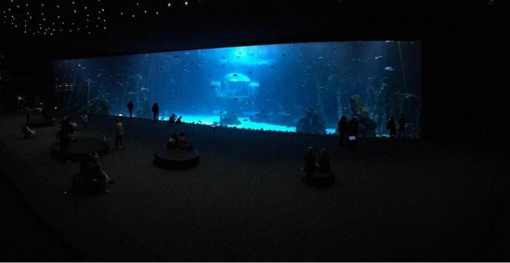 Las Canteras Aquarium Las Palmas / Gran Canaria Exterior foto